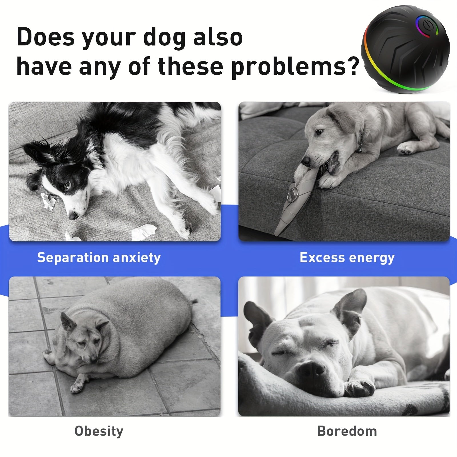 Motion - Activated Bouncing Ball for Dogs - HazMarket
