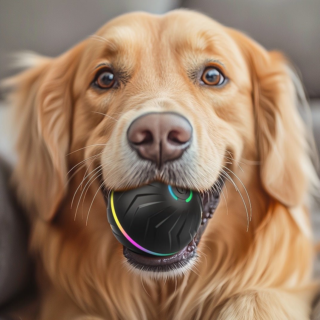 Motion - Activated Bouncing Ball for Dogs - HazMarket
