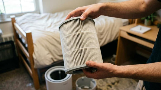 7 Air Purifiers for Bedrooms, Offices, and Dorms Today