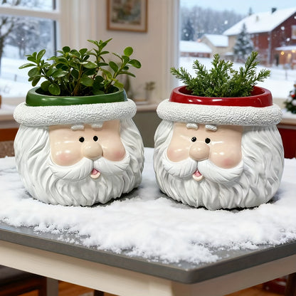 1pc Santa Claus Face Planter