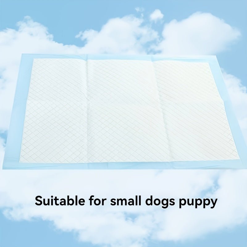 20 - Pack Non - Woven Pet Training Pads for Dogs - HazMarket