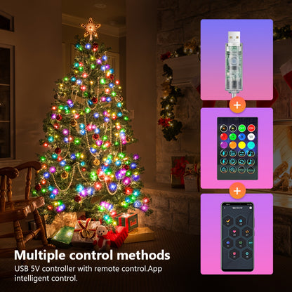 APP Smart Christmas Lights