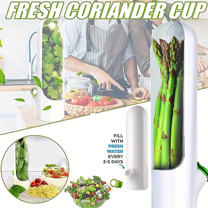 1pc Herb Keeper for Refrigerator