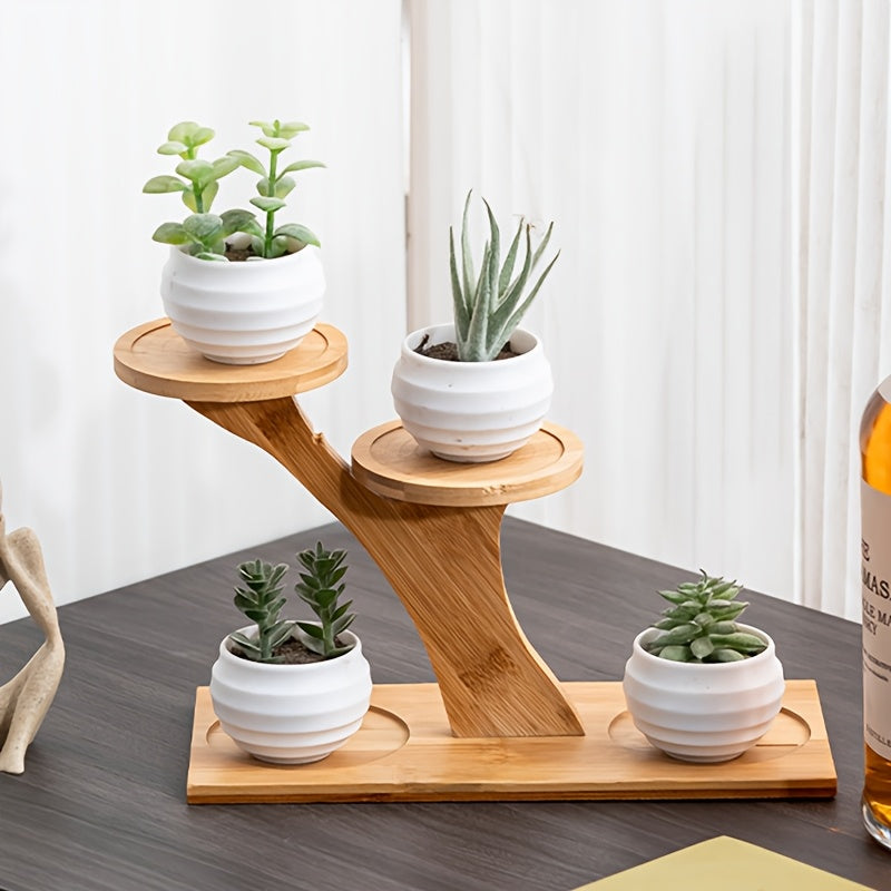Two-Tiered Display Shelf for Small Potted Plants