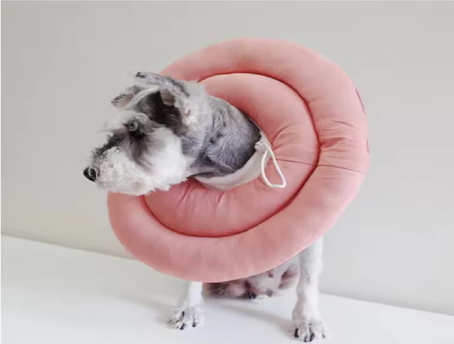 Anti-Scratch and Anti-Licking Headgear for Cats and Dogs