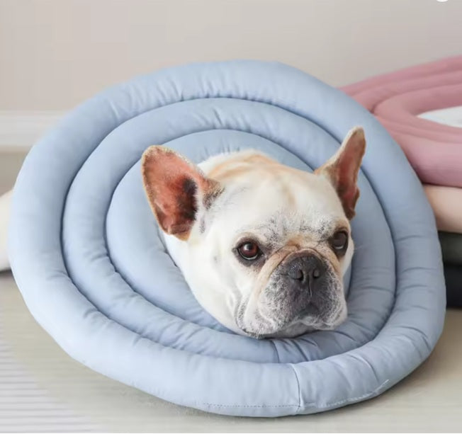 Anti-Scratch and Anti-Licking Headgear for Cats and Dogs