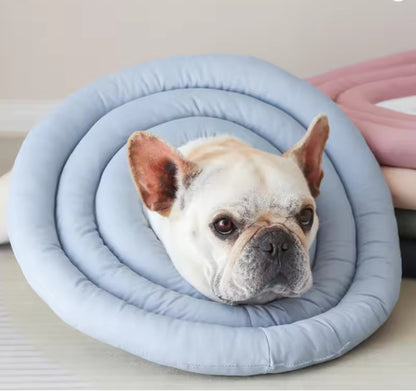 Anti-Scratch and Anti-Licking Headgear for Cats and Dogs