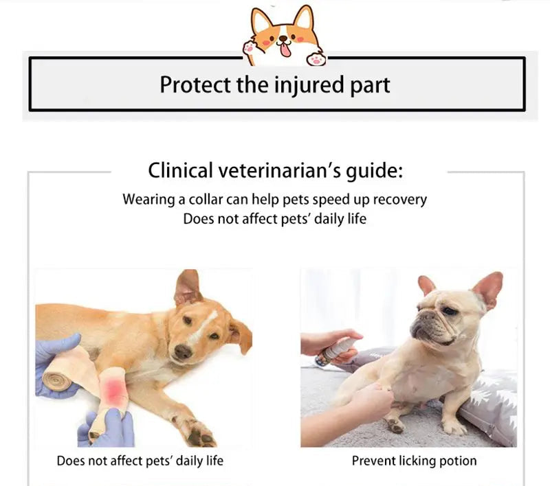 Anti-Scratch and Anti-Licking Headgear for Cats and Dogs