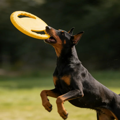 Dogs Flying Disc Tooth Chew Train Toy