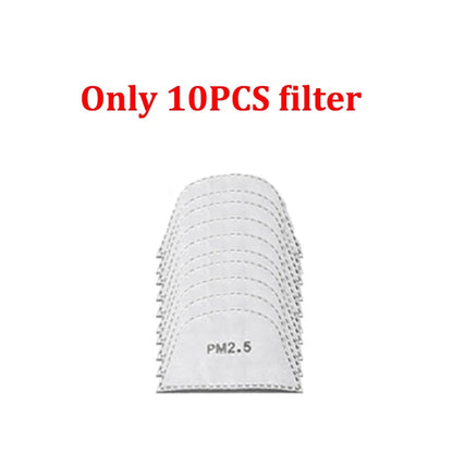 Transparent Face Mask Protector