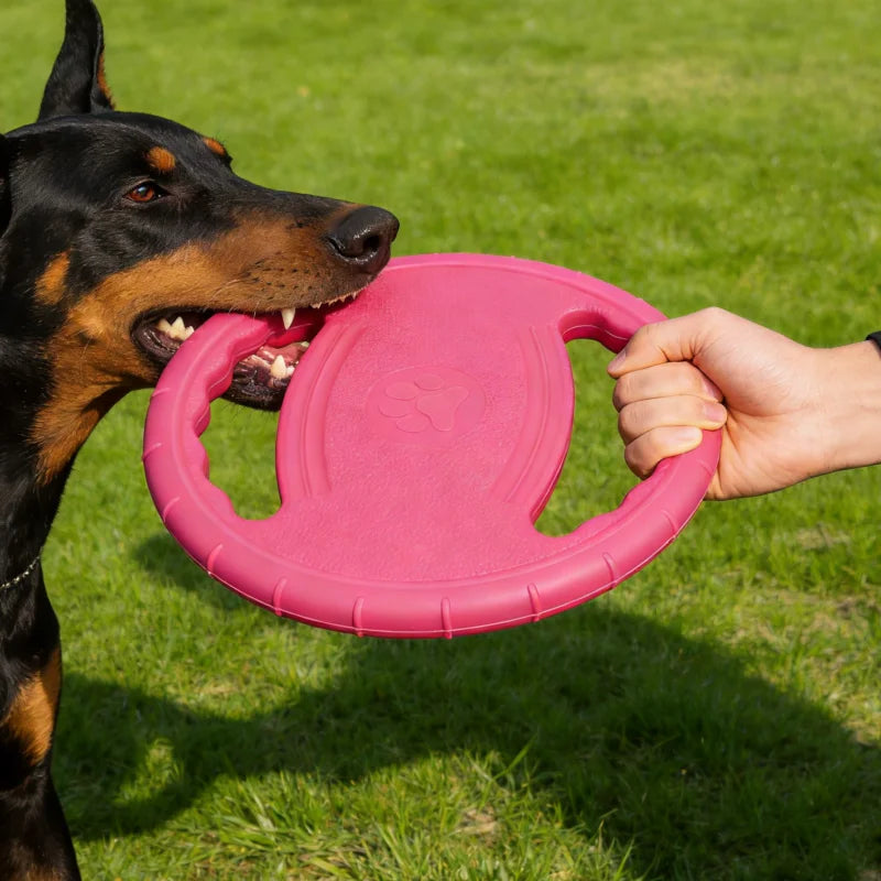 Dogs Flying Disc Tooth Chew Train Toy
