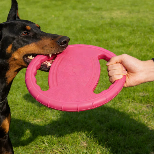 Dogs Flying Disc Tooth Chew Train Toy