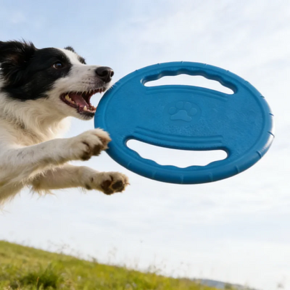 Dogs Flying Disc Tooth Chew Train Toy