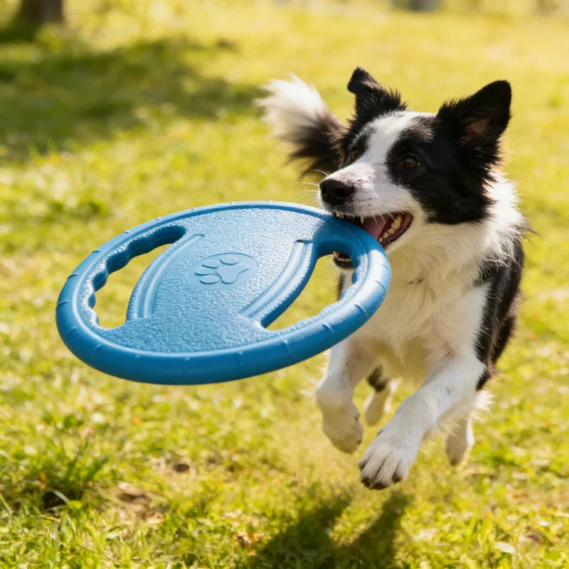 Dogs Flying Disc Tooth Chew Train Toy