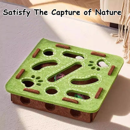 Puzzle Box Toy for Cats with Ball