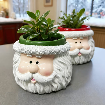1pc Santa Claus Face Planter