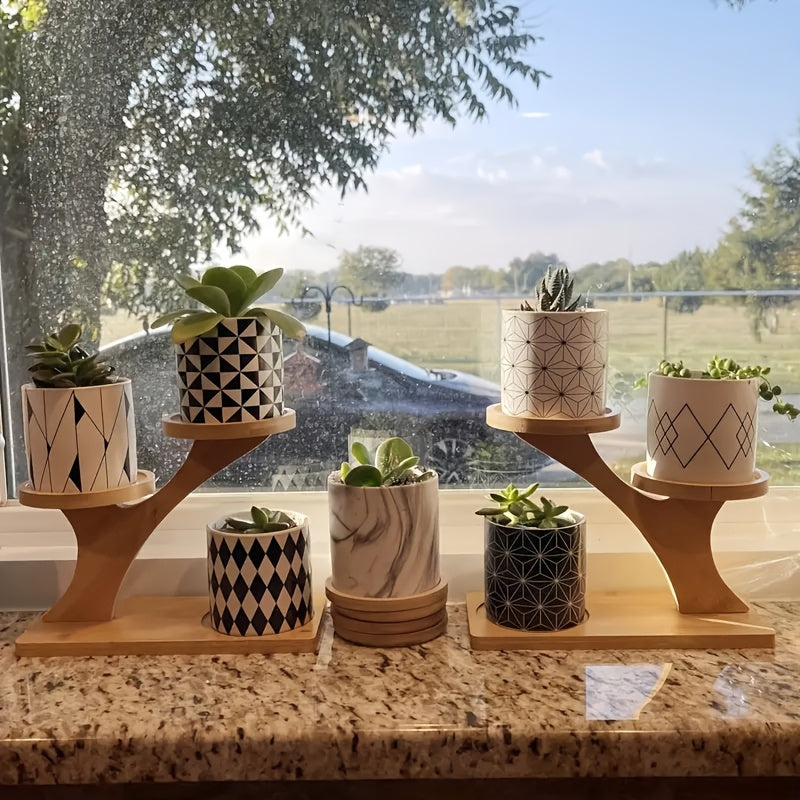 Two-Tiered Display Shelf for Small Potted Plants
