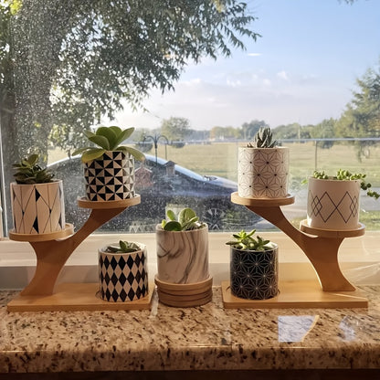 Two-Tiered Display Shelf for Small Potted Plants