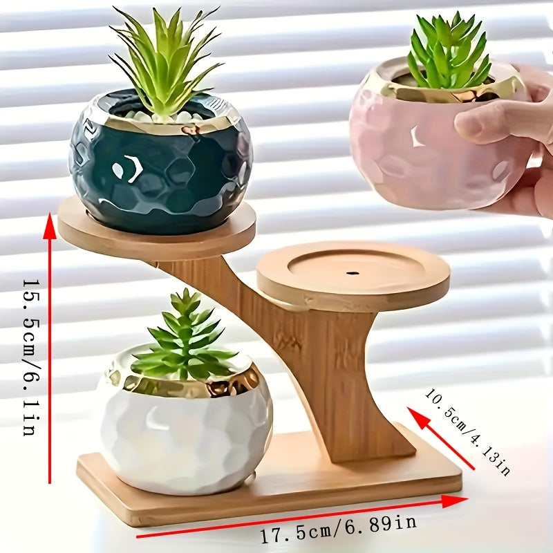 Two-Tiered Display Shelf for Small Potted Plants