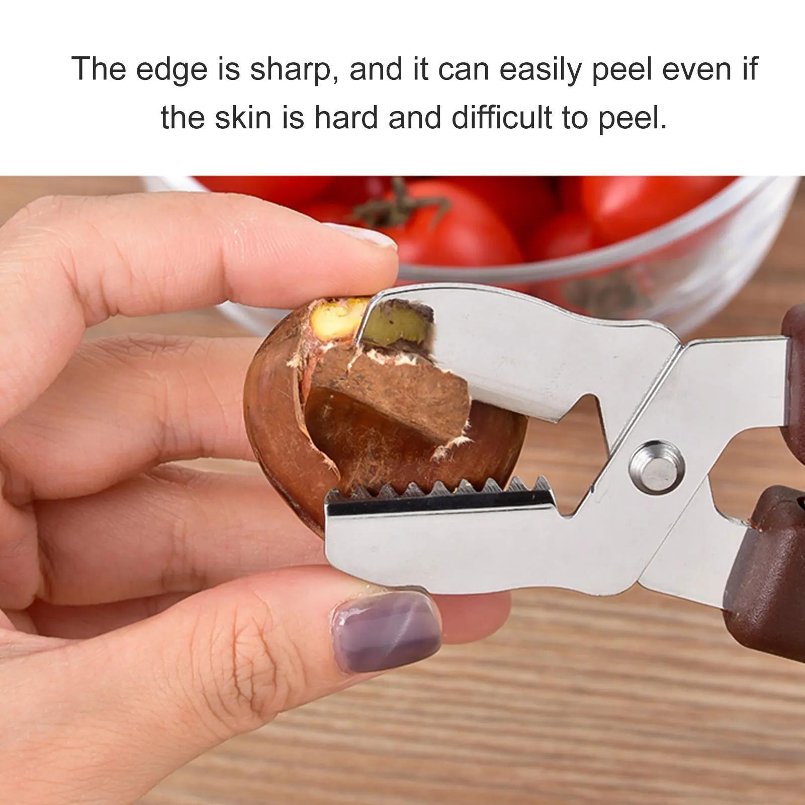 Durable Stainless Steel Chestnut Cracker & Nut Peeler - HazMarket