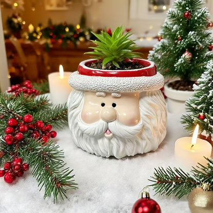 1pc Santa Claus Face Planter