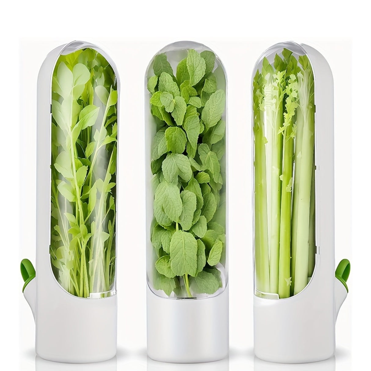 1pc Herb Keeper for Refrigerator
