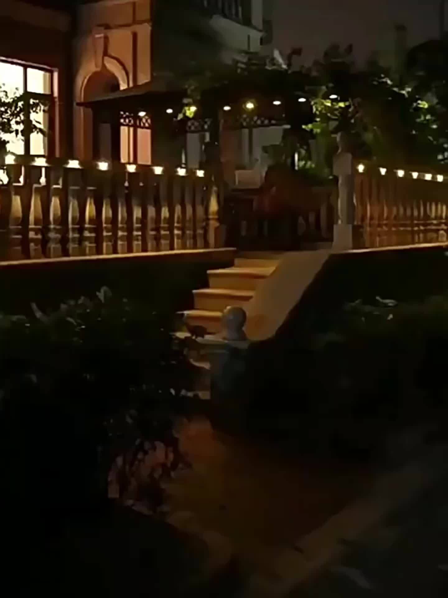 10pcs Solar Step Outdoor Lights