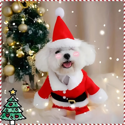 Festive Santa Claus Pet Costume Set