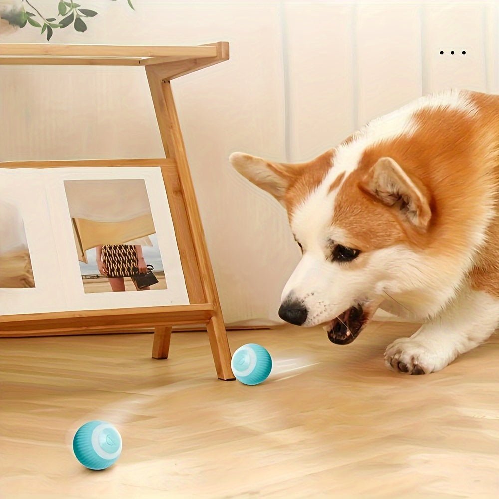 Interactive Smart Rolling Ball Toy for Cats & Small Dogs - HazMarket