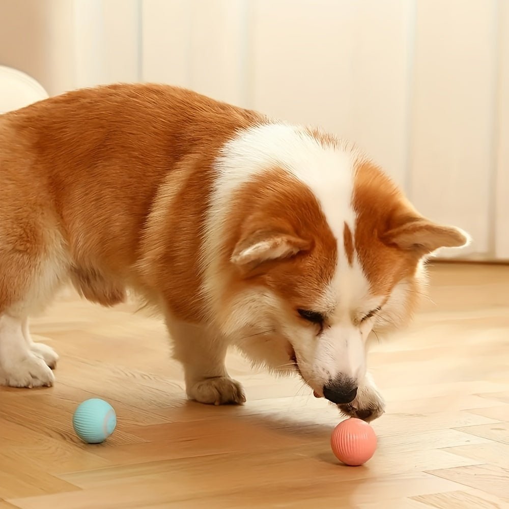 Interactive Smart Rolling Ball Toy for Cats & Small Dogs - HazMarket