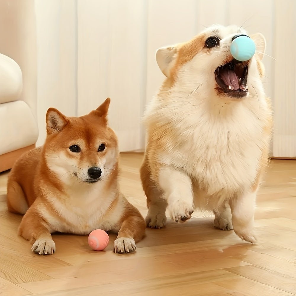 Interactive Smart Rolling Ball Toy for Cats & Small Dogs - HazMarket