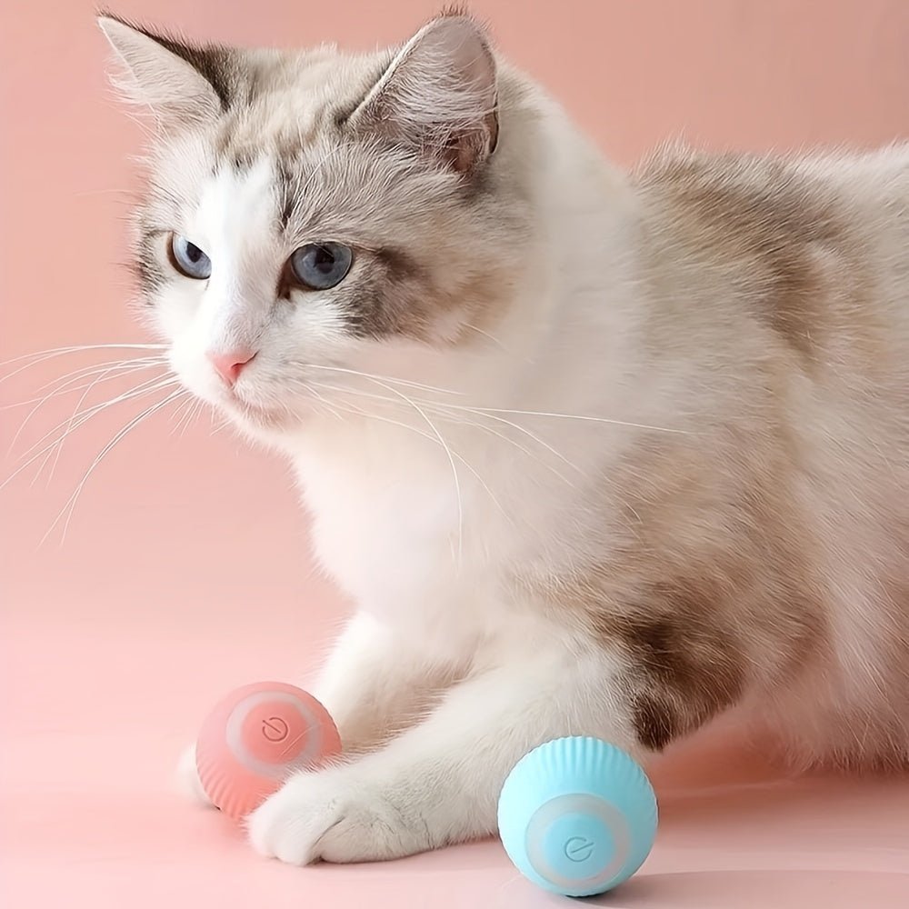 Interactive Smart Rolling Ball Toy for Cats & Small Dogs - HazMarket