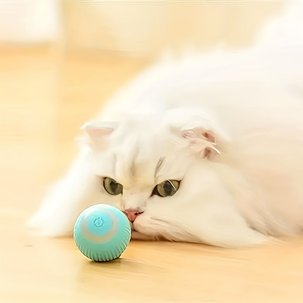 Interactive Smart Rolling Ball Toy for Cats & Small Dogs - HazMarket