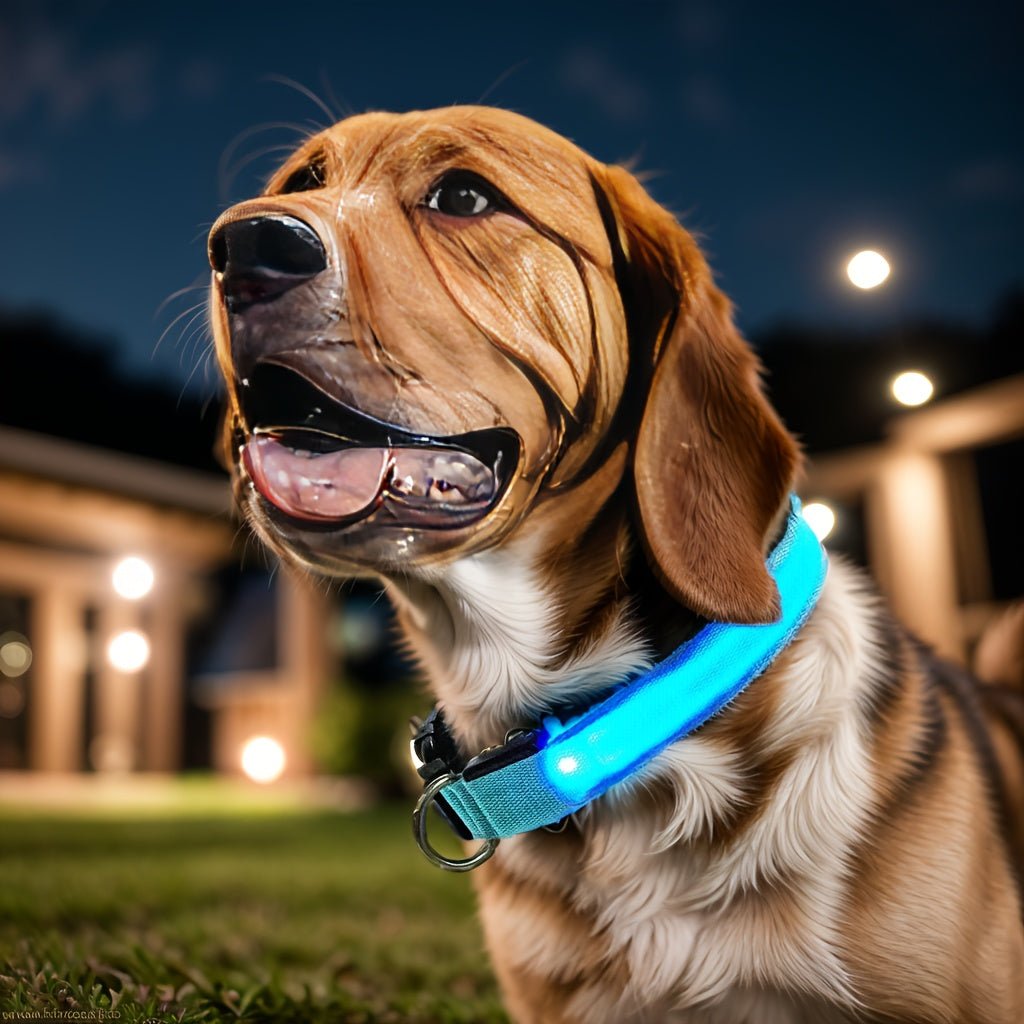 LED Glow - In - The - Dark Pet Collar For Dogs - HazMarket