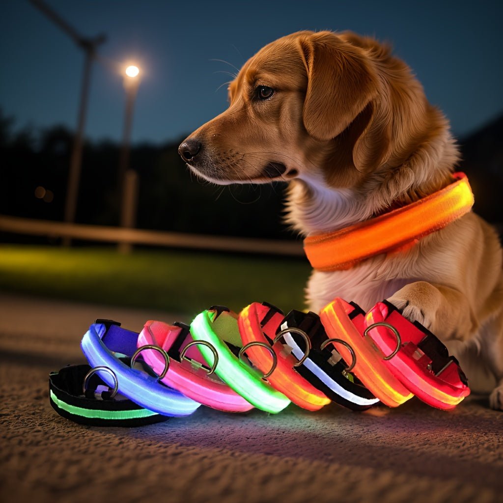 LED Glow - In - The - Dark Pet Collar For Dogs - HazMarket