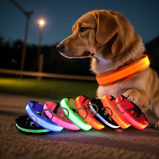 LED Glow - In - The - Dark Pet Collar For Dogs - HazMarket