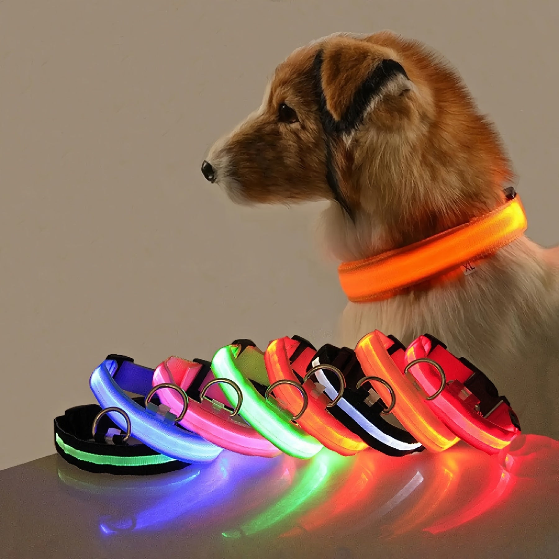 LED Glow - In - The - Dark Pet Collar For Dogs - HazMarket