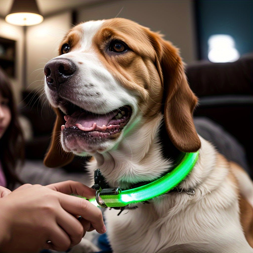 LED Glow - In - The - Dark Pet Collar For Dogs - HazMarket