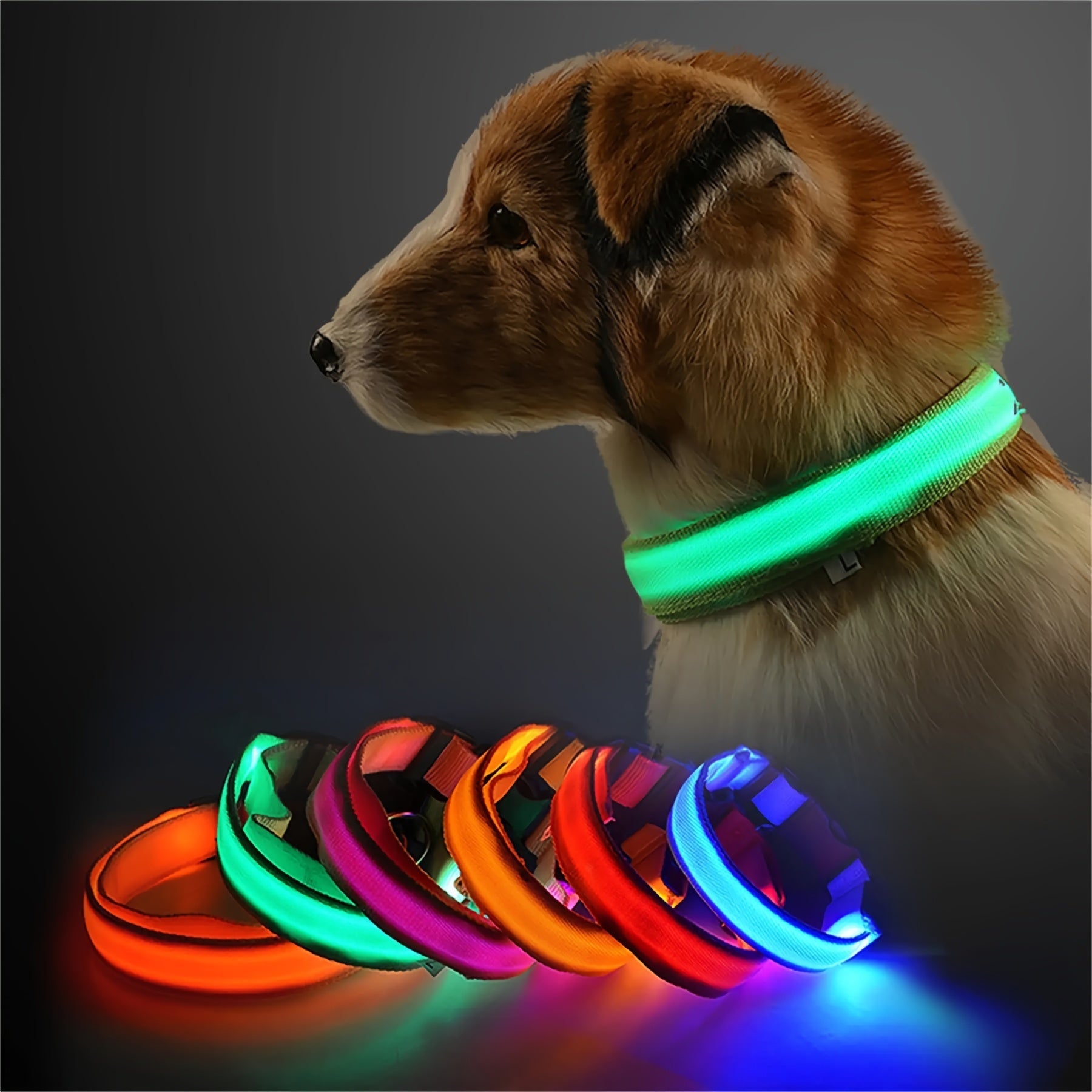 LED Glow - In - The - Dark Pet Collar For Dogs - HazMarket