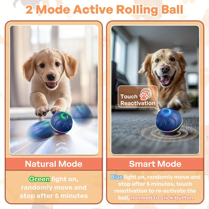 Motion - Activated Bouncing Ball for Dogs - HazMarket
