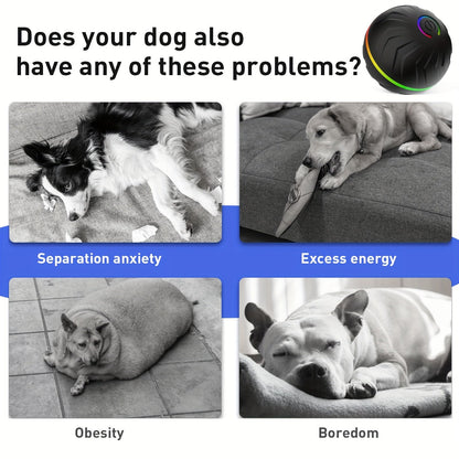 Motion - Activated Bouncing Ball for Dogs - HazMarket