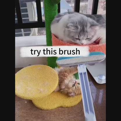 Long-Handle Pet Hair Remover Brush
