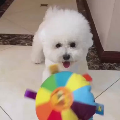 Plush Squeaky Dog Toy