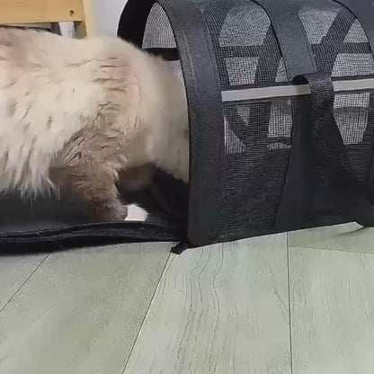 Pet Travel Carrier Bag For Cats or Dogs