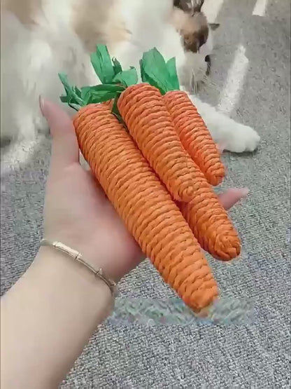 Carrot-Shaped Cat Chew Toys