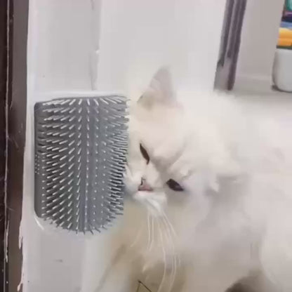 Wall-Mounted Cat Self Groomer with Massage Comb Brush