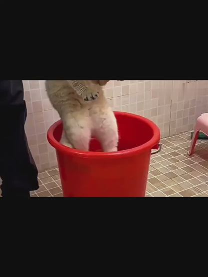 Pet Brush for Cats & Dogs