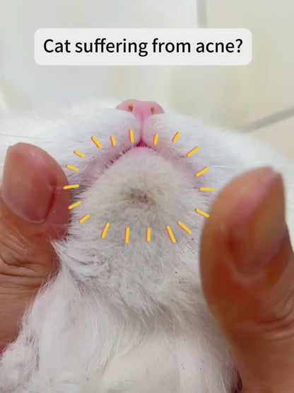 Cat Chin Care Kit