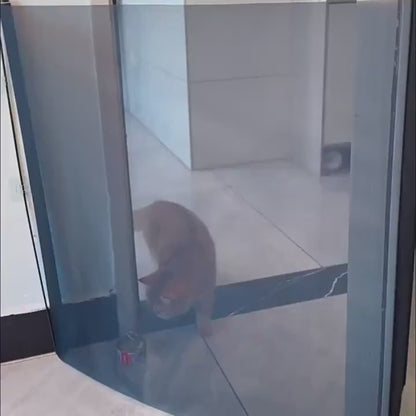 Expandable Indoor/Outdoor Barrier for Dogs & Cats