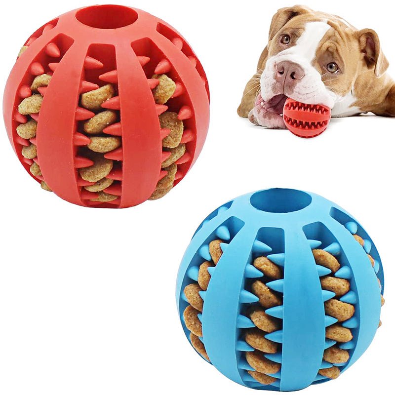 Rubber Food Ball Toy for Dogs - HazMarket